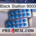 Black Stallion 9000 viagra2